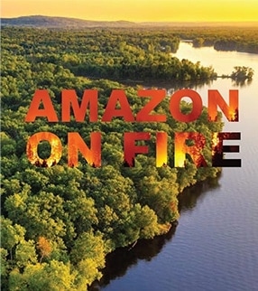 Amazon on Fire